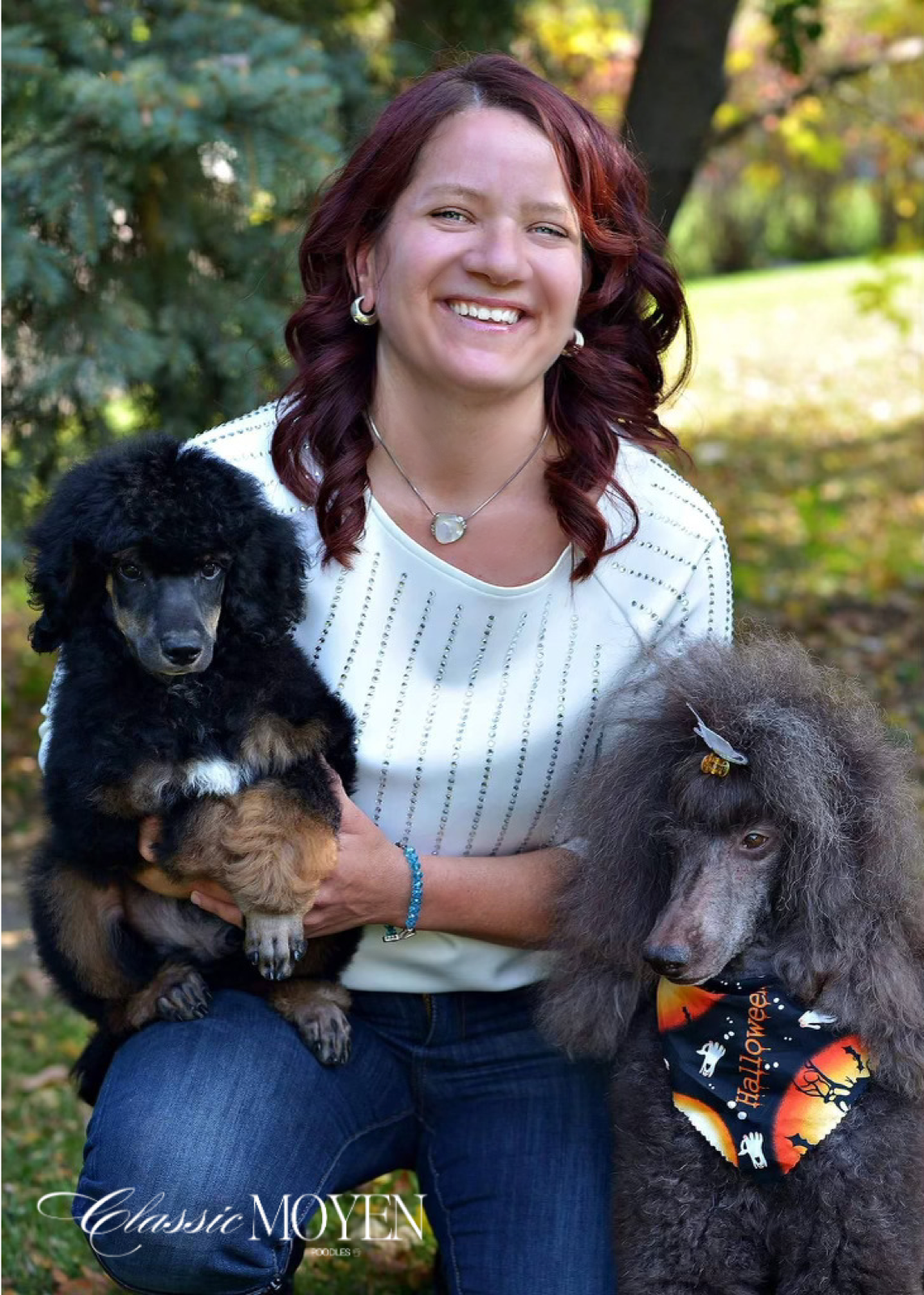 Classic Canines poodle