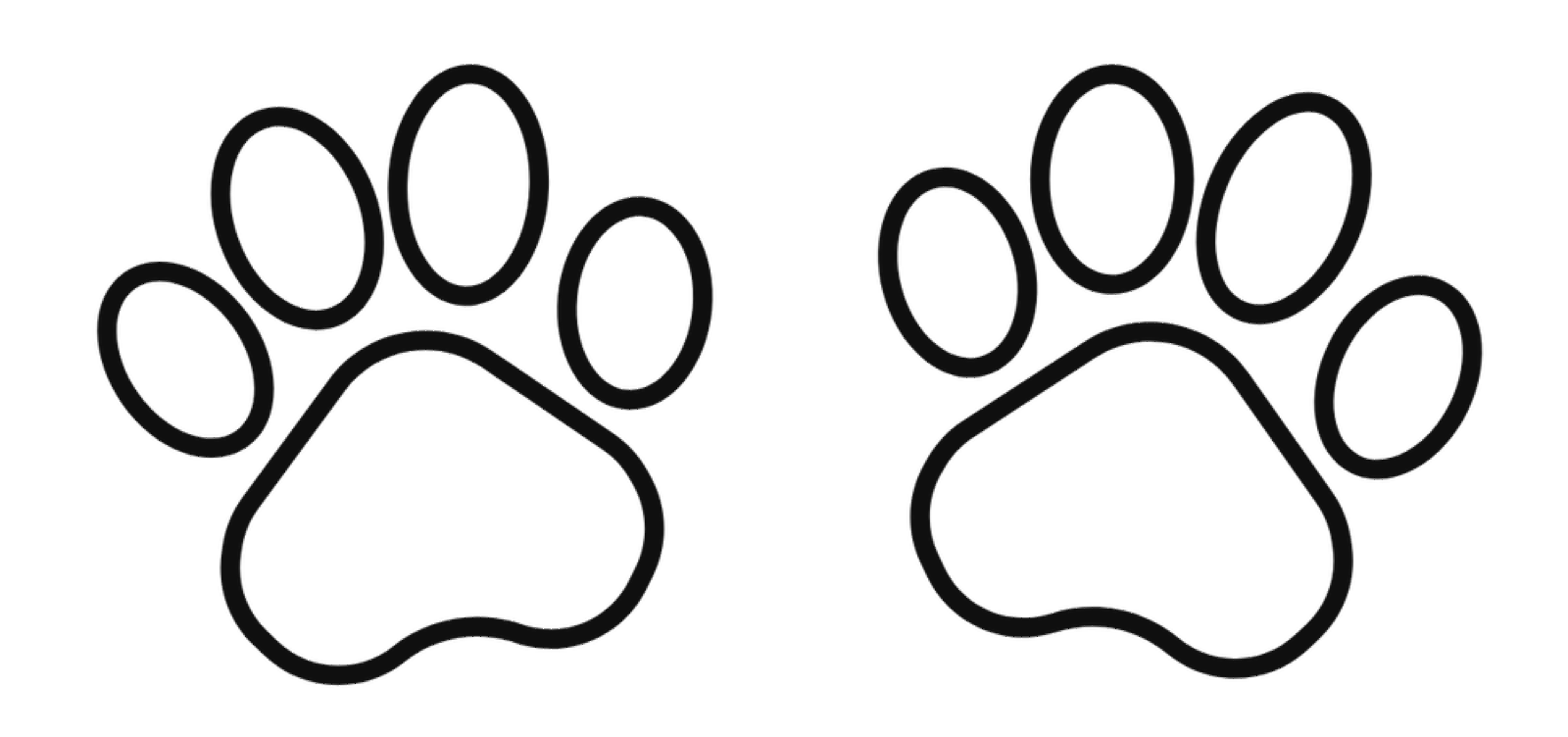 Classic Canines poodle